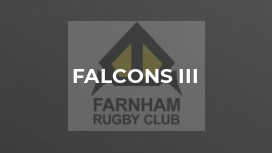 Falcons III