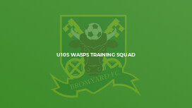 U10s Wasps Training Squad