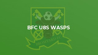BFC U8s Wasps