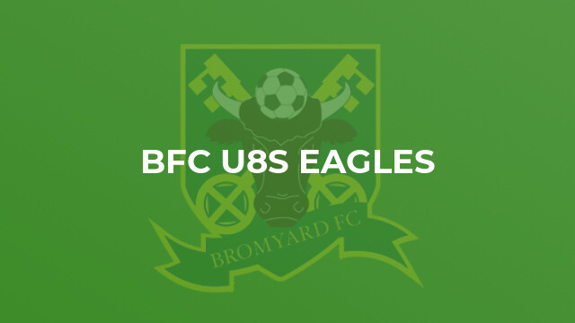 BFC U8s Eagles