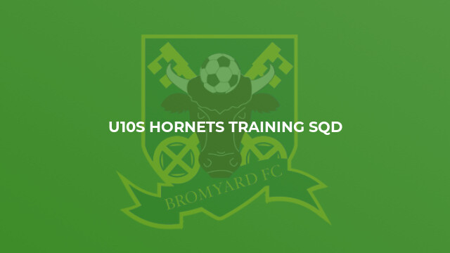 U10s Hornets Training Sqd