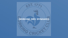 Dorking Dev Dynamos