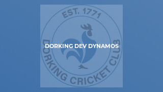 Dorking Dev Dynamos