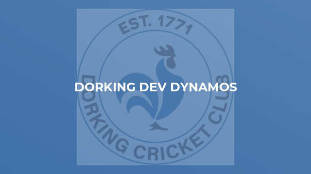 Dorking Dev Dynamos