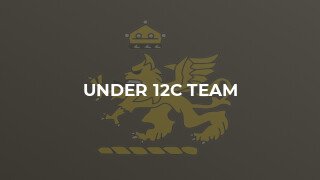 Under 12C Team