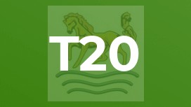 T20