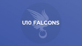U10 Falcons