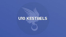 U10 Kestrels