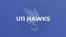 U11 Hawks