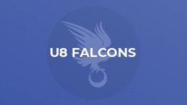 U8 Falcons