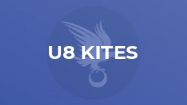 U8 Kites