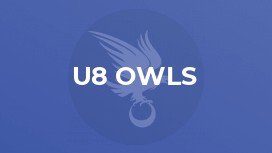 U8 Owls