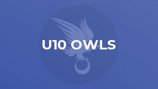 U10 Owls