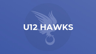 U12 Hawks