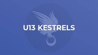U13 Kestrels