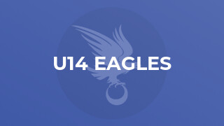 U14 Eagles