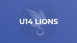 U14 Lions