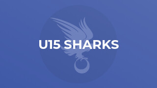 U15 Sharks