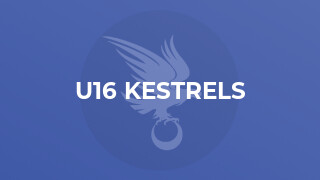 U16 Kestrels