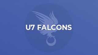 U7 Falcons