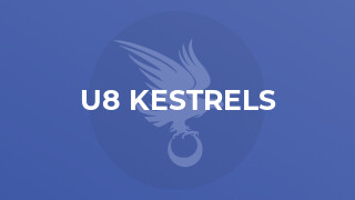 U8 Kestrels
