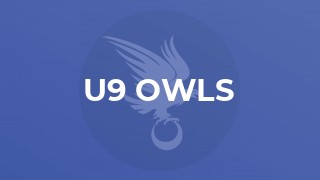 U9 Owls