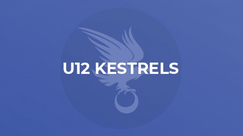 U12 Kestrels vs Onslow Eagles