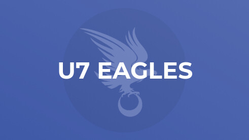 Albury Eagles U7 v Chiddingfold Chargers