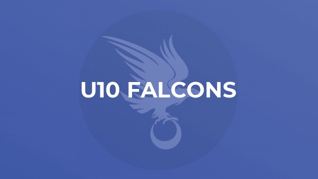 U10 Falcons
