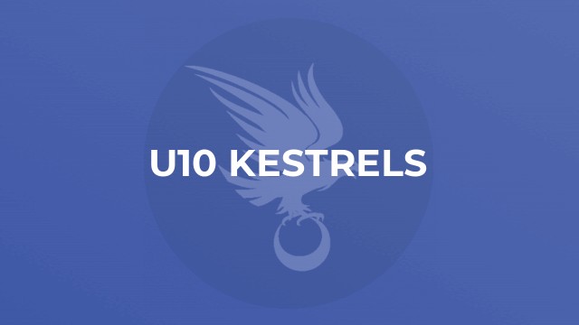 U10 Kestrels