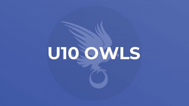 U10 Owls