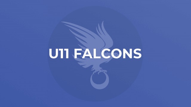 U11 Falcons