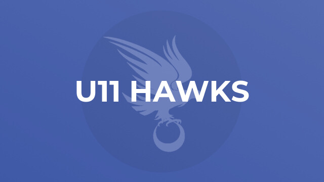 U11 Hawks