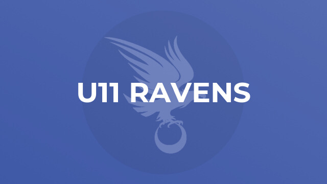 U11 Ravens