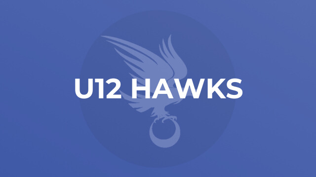 U12 Hawks