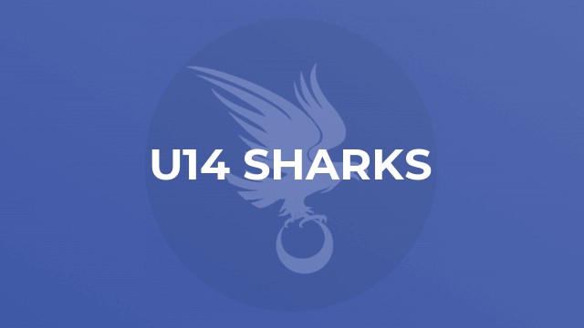 U14 Sharks