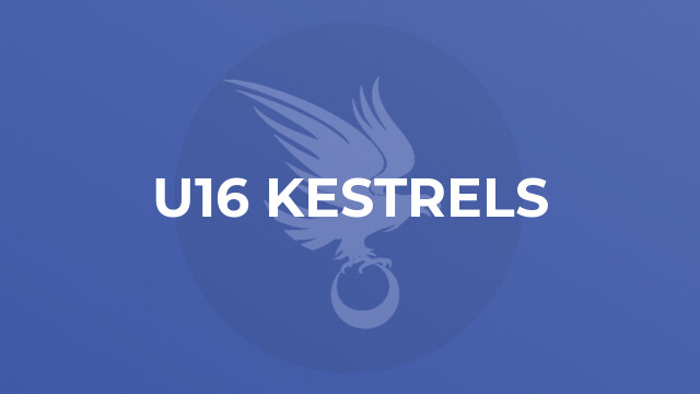 U16 Kestrels