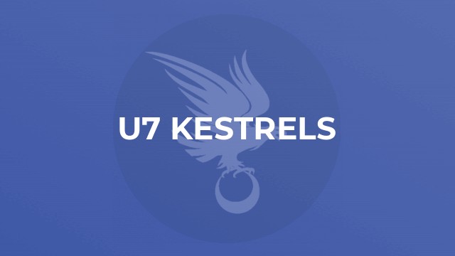 U7 Kestrels