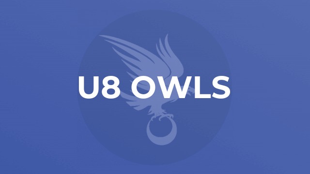 U8 Owls