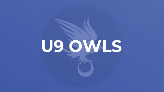 U9 Owls