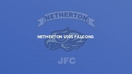 Netherton U10s Falcons