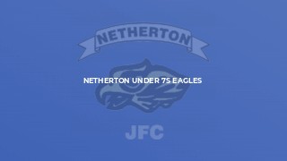 Netherton Under 7s Eagles