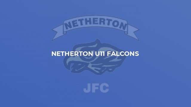 Netherton U11 Falcons