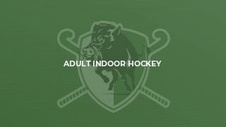 Adult Indoor Hockey