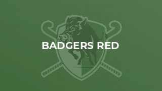 Badgers Red