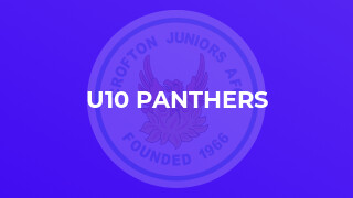 U10 Panthers