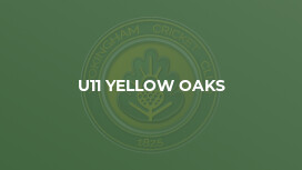 U11 Yellow Oaks