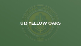 U13 Yellow Oaks