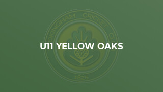 U11 Yellow Oaks