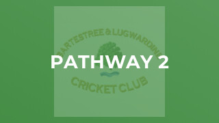 Pathway 2